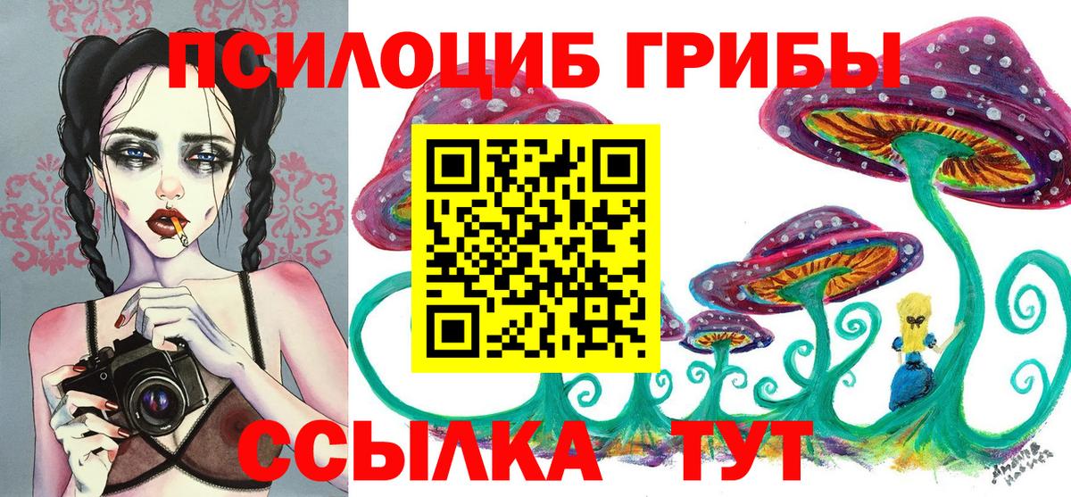 Псилоцибиновые грибы Psilocybe Отрадный