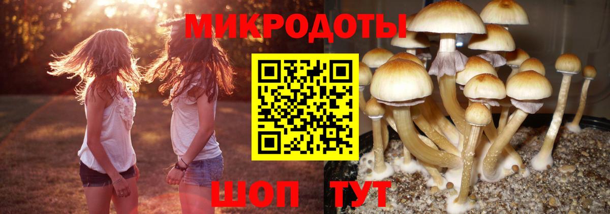 Отрадный  Галлюциногенные грибы Cubensis  Галлюциногенные грибы MAGIC MUSHROOMS  Вход с VPN 