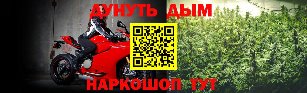 Конопля планчик  Конопля сатива  Вход с VPN  МАРИХУАНА Bruce Banner  Отрадный 